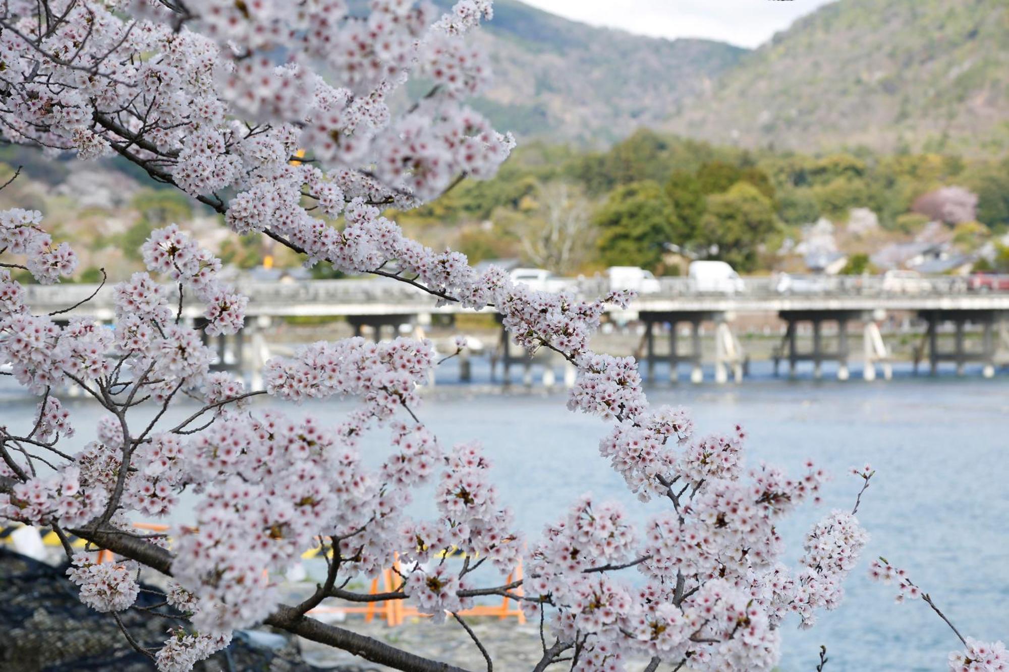 Kyoto Arashiyama Onsen Ryokan Togetsutei 외부 사진